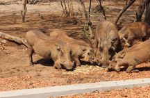 2 Days Luxury Ivory Moon Kruger Safari