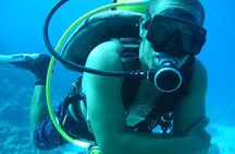 Dolphin Swim: Full-Day Snorkeling Cruise & Buffet Lunch