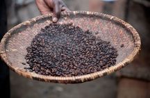 Authentic Arusha Coffee Experience