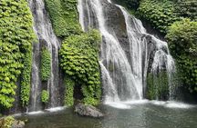 Ulundanu Bratan Temple Banyumala Waterfall and Rice Terrace Tour 