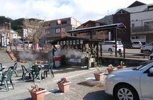 Kirishima Highlights from Kagoshima Port by Private Car