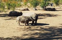 Mosi-oa-Tunya National Park Safari Game Drive and Rhino Walk