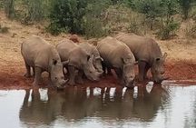 Mosi-oa-Tunya National Park Safari Game Drive and Rhino Walk