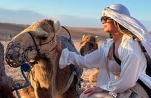 Marrakech: Camel Ride, Sunset & Dinner Show In Agafay Desert 