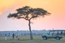3 Days 2 Nights Maasai Mara Joining Safari Tour