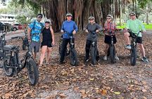 E-Bike Guided Tour Downtown St Pete: Sights & Murals