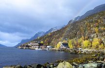 Tromsø: Fjord Adventure Tour with Wildlife and Lunch