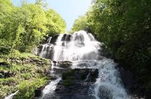 Private North Georgia Waterfall Tour and Scenic Hikes