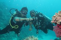 Scuba Diving , Snorkeling , and Swimming in Jeddah 