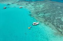 Snorkeling and Swimming trip in Jeddah 