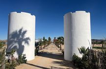 Joshua Tree Architecture & Art Tour — Iconic Homes & Desert Art