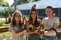 Private Van Tour to Damajagua Waterfalls and Monkeys