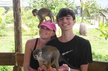 Private Van Tour to Damajagua Waterfalls and Monkeys