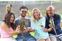 Private Van Tour to Damajagua Waterfalls and Monkeys
