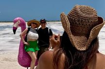 Discover Las Coloradas History on Deluxe Guided tour