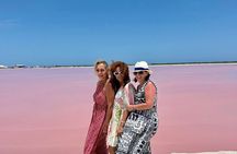 Discover Las Coloradas History on Deluxe Guided tour