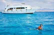 Snorkeling and Swimming trip in Jeddah 