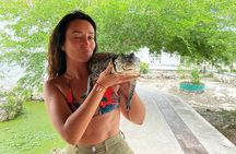 Guided Tour Of Las Coloradas, Rio Lagartos And See Crocodiles