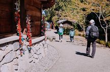 Bainbridge Island Discovery Tour