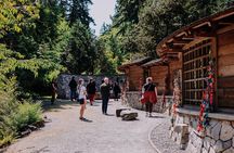 Bainbridge Island Discovery Tour