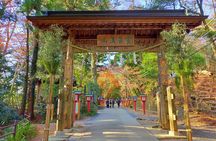 Full Day Hiking Tour at Mt.Takao including Hot Spring