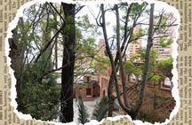 Bogotá: Walking Granny tour In Bogotá's City Center