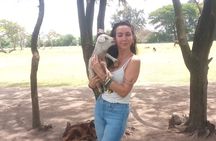 Half day Addis Ababa Authentic city tour