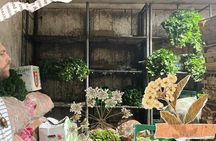 Cartagena: Cultural tour Bazurto Market Adventure