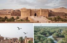 North Qatar Tour Al Zubarah Fort, Jumail Village and Mangroves