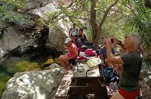 Explore Naxos Waterfall and Enjoy a Traditional Full Meal,Private