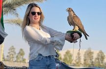 Polaris 1000cc Dune Buggy Adventure sand board Falcon pic Camel R