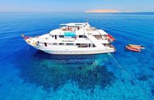 Tiran Island Snorkeling Trip by Boat Full Day
