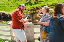 Krakow: Zakopane Tour, Thermal Baths, Cable Car & Vodka Tasting