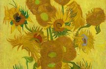 Amsterdam Van Gogh Museum Tour Highlights with a Private Guide