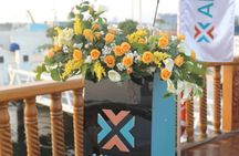 Royal Dhow Cruise at Marina Dubai with Radisson Blu Buffet