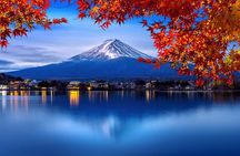 Mt. Fuji Private Day Trip from Tokyo with English-Speaking Driver