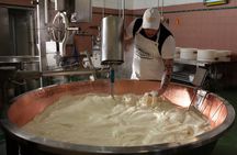 Parmesan Cheese Tour and Tasting in Modena