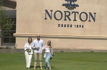 Casa Vigil (the enemy) + 2 cellars.