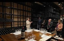 Guided Tour in Catena Zapata + lunch