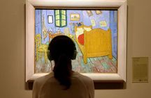 Chicago Art Institute Ticket and Audio Tour