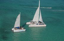 Catalina Island/DIVING and Sailboat Adventure 