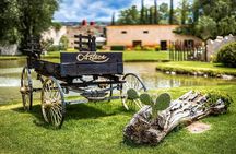 The Magical Town of Tepotzotlán & Artisanal wine from Mexico City