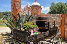 The Magical Town of Tepotzotlán & Artisanal wine from Mexico City