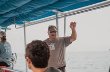 Eco-Raft Tour: Intro to Hawaiian History & Whale or Dolphin Watch