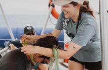 Eco-Raft Tour: Intro to Hawaiian History & Whale or Dolphin Watch