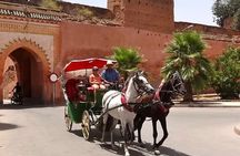 Marrakech! 1 hour traditional horse - drawn carriage tour