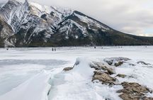 Explore Banff + Wildlife