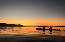 Vancouver Island: 2-Hour Evening Kayak Tour from Telegraph Cove