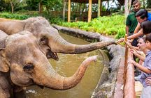 Singapore Zoo Tickets with Tram Ride