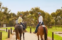 Vineyard Trail Ride and Taste at Jacob’s Creek